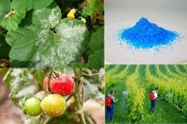 کاربرد سولفات مس در صنعت کشاورزی