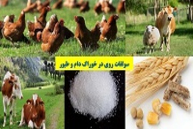 کاربرد سولفات روی در خوراک دام و طیور